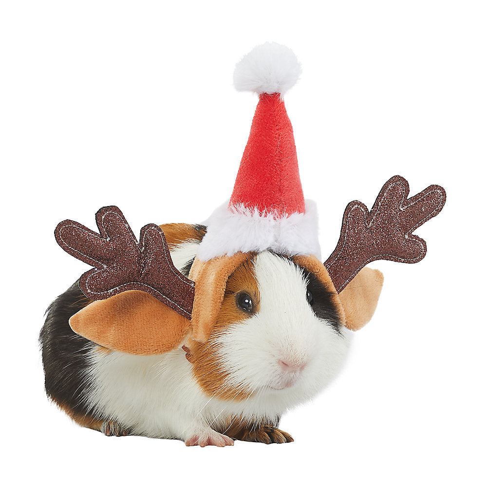 Merry & Bright™ Small Pet Raeindeer Headpiece